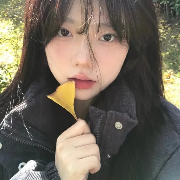 公羊